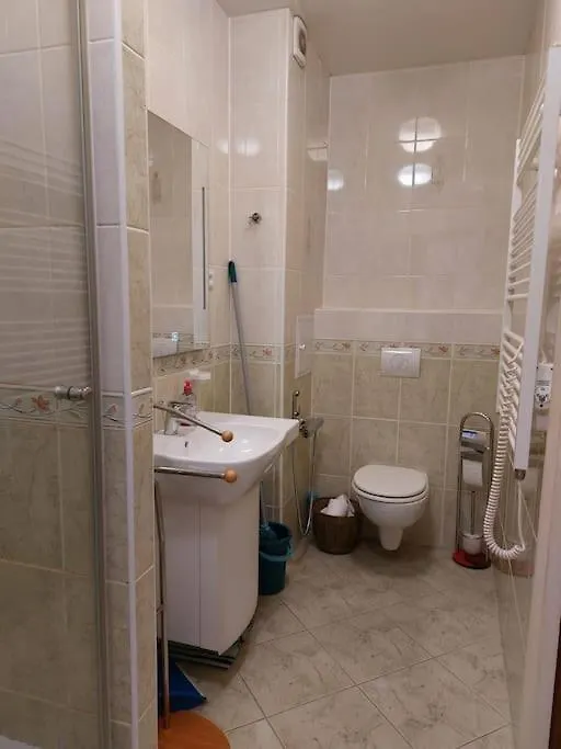 Apartment Sofia Karlovy Vary